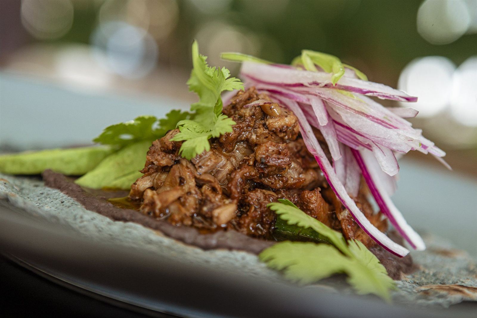 Tostada con carne deshebrada, cebolla morada y hierbas