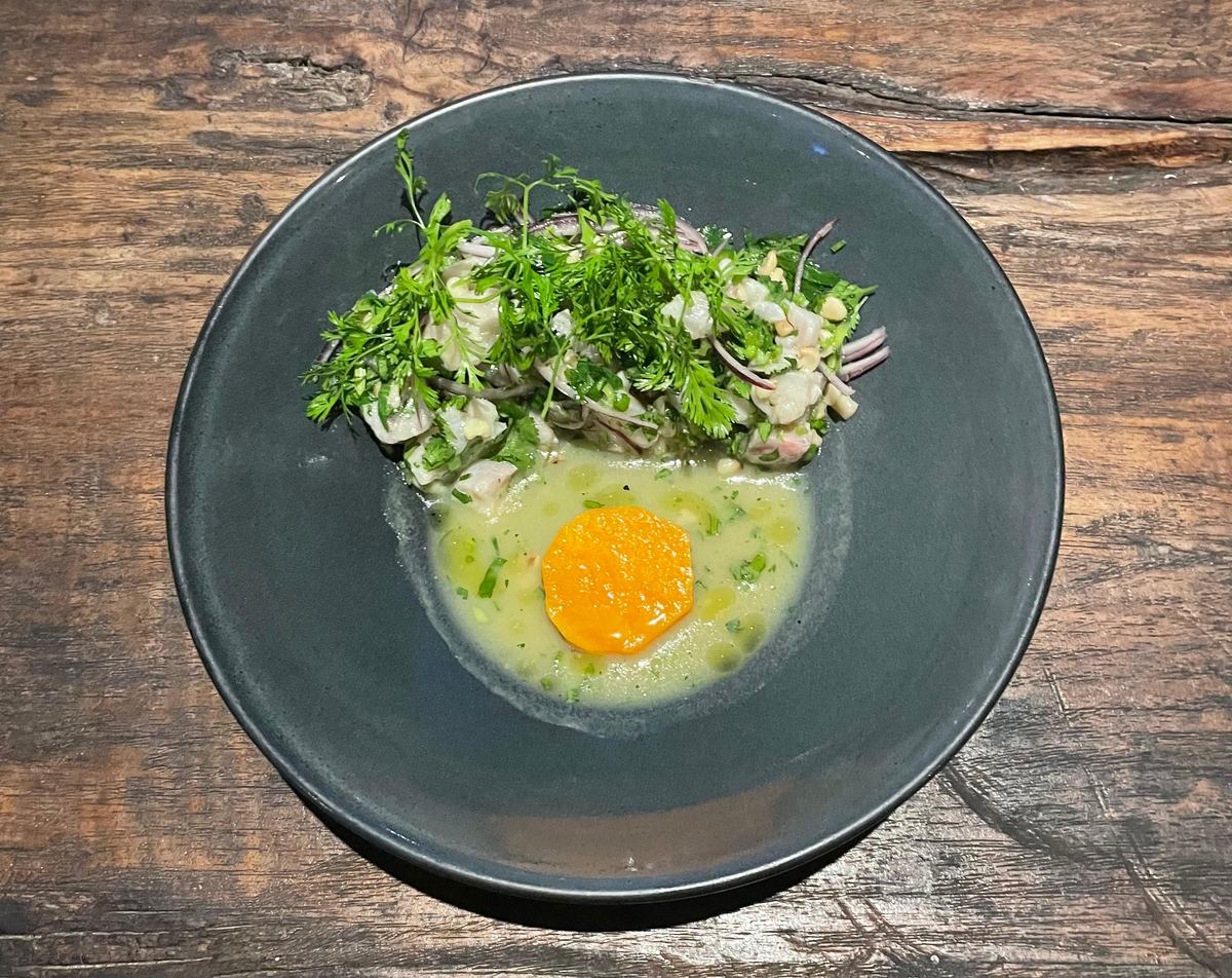 Ceviche de robalo con brotes verdes y salsa amarilla en plato gris
