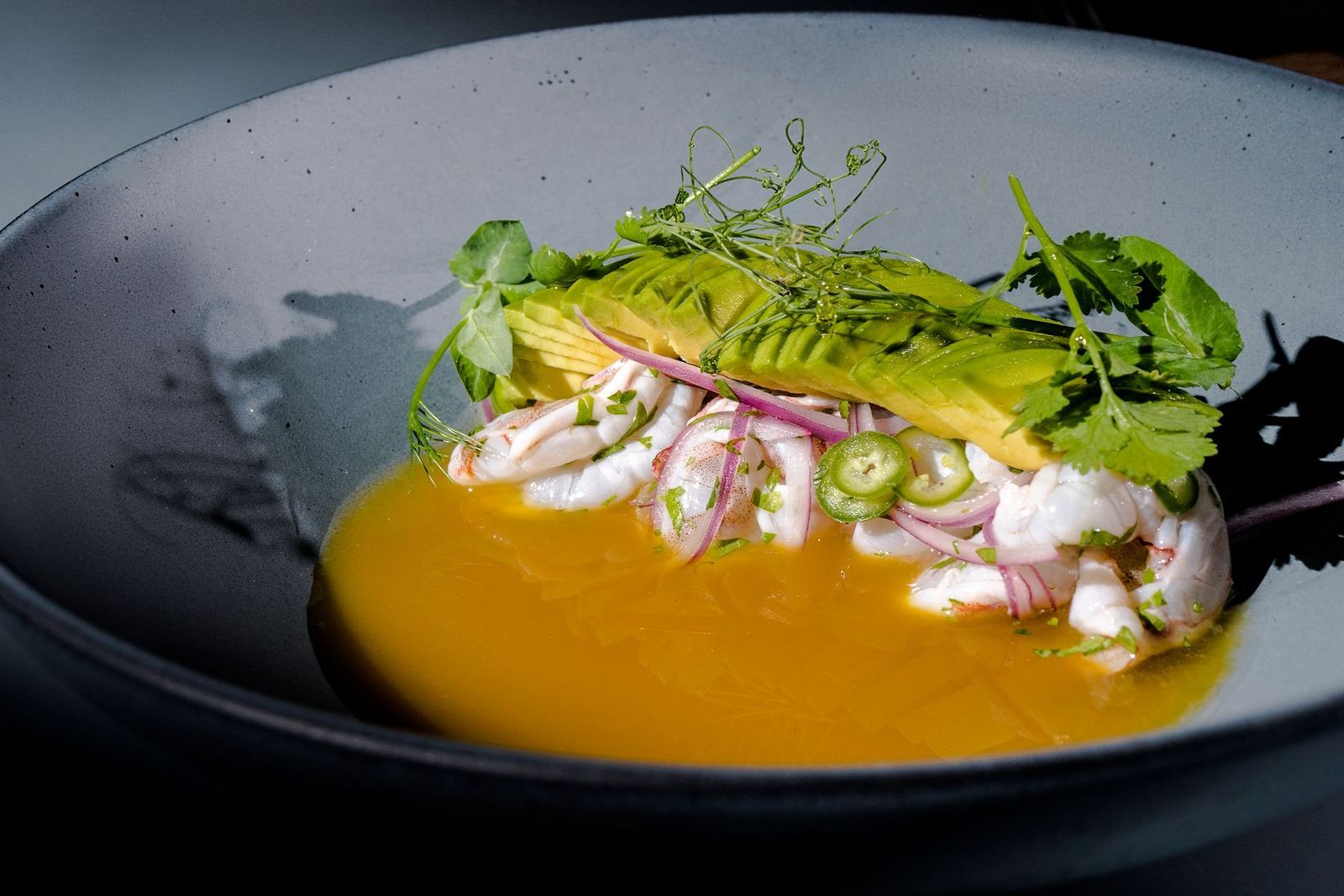 Ceviche con aguacate y brotes en tazón oscuro